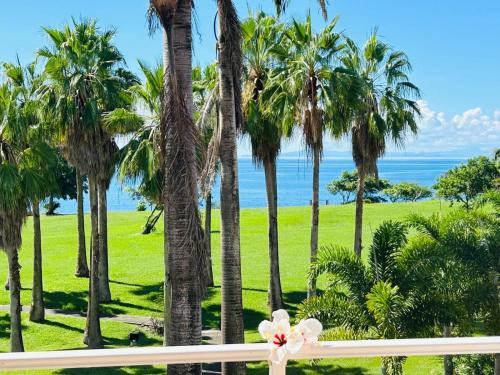 TI COCOTIER Appartement VUE MER 2 à 6 personnes village Pierre et vacances