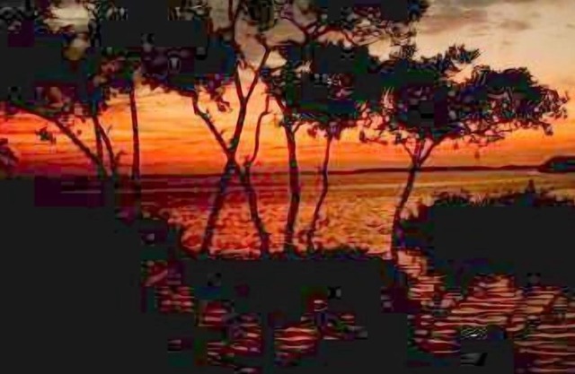 TIERRA VERDE Luxury Condo Water FRONT - low summer rates - NORTH BEACH next door