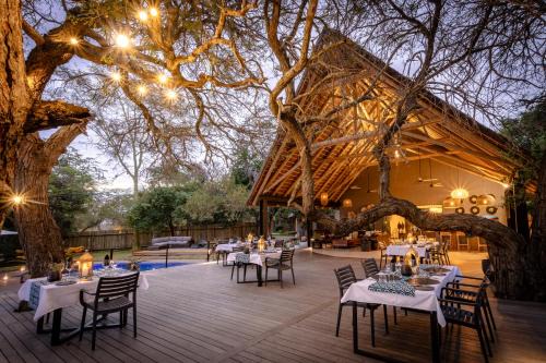 Tomo Safari Lodge