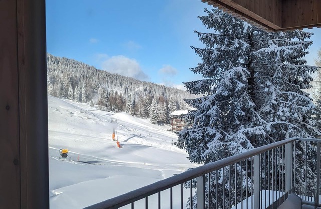 TOP 3 Piste view - Apartments Nassfeldpass