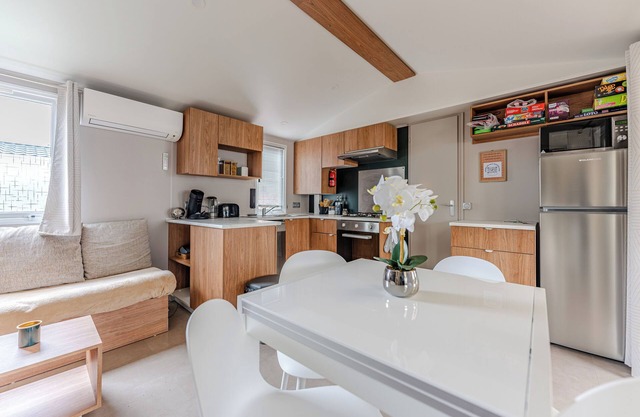 Top-of-the-range mobile home under the Landes pines. 3 bedrooms, 2 shower rooms, LV, LL.