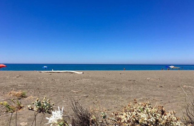 TOSCANA TOUR - Agriturismo San Maurizio Alto 7