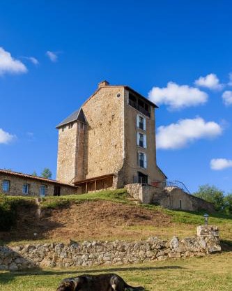 Tour Médievale Privée Château Montegut