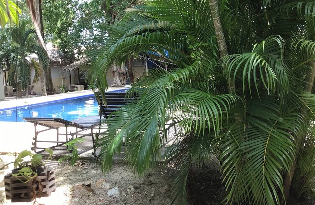 Traditional Hut on the beach, beside the tropical jungle of Koh Phangan /AC/WIFI