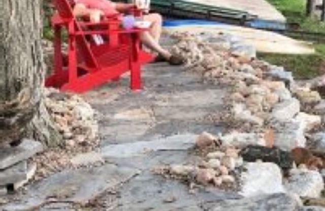 Tranquil Lakefront on Little Bald Lake Narrows.