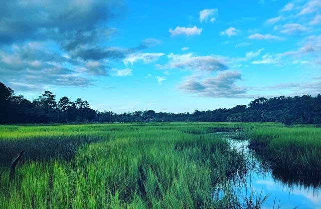 Tranquil Water Front cottage, 35 Min to Charleston, Beach 20 min, Pet-Friendly