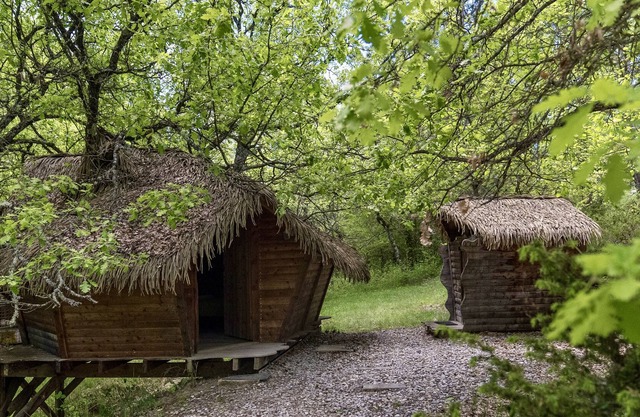 Tree House-Ensuite with Shower-Cabane dans l'arbre