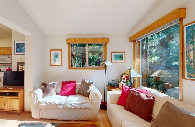 Tree-lined cabin with studio & gorgeous decks, just up from Whaleshead Beach