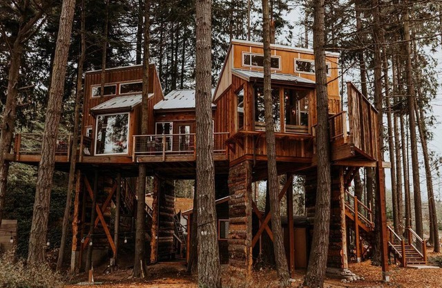 Treehouse on the Water -Eagles Nest-20 ft high