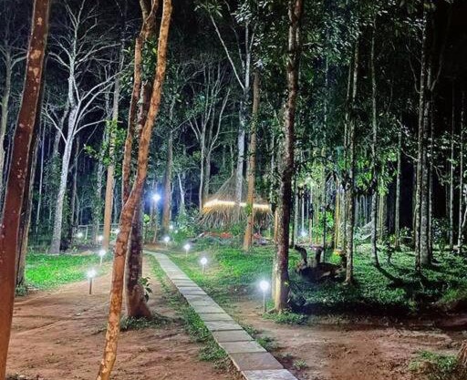 TreeSong Villa - Modern forest Villa in Wayanad