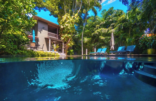 Tropical 3BDR/3BA Home with Large Pool