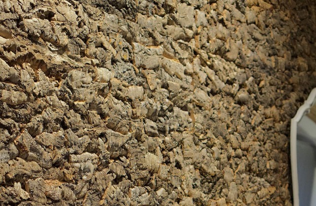 Trou des cloches with Jacuzzi and private ponds