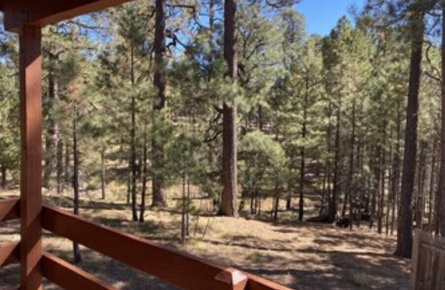 Trout Springs Cabin #4
