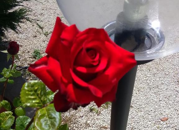 Trulli Sarmenzanello