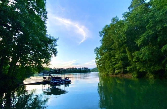 Tugaloo Tuck-In on Lake Hartwell, PRIVATE COVE & coverd dock, firepit, huge yard