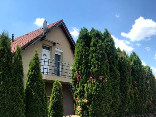 Tulipán Apartman Kápolnásnyék