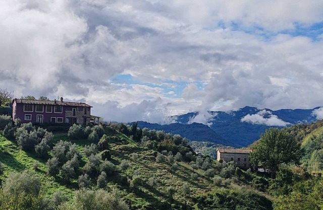 Tuscan Farmhouse Stunning Views, 9m x 4m Pool, BBQ & Pizza Oven, Gardens & More