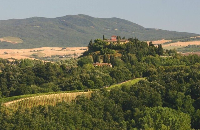 Tuscan Villa Apartment with pool & airconditioning in hillside village near Pisa