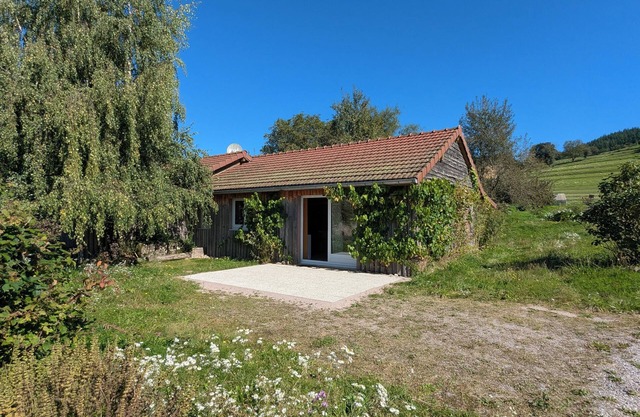 Two adjoining ecological chalets, sleeps 9, with Jacuzzi spa, Vosges mountains