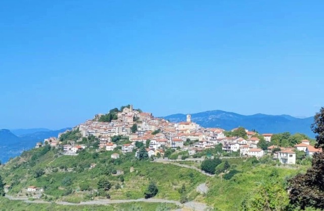 Two-room apartment in villa with large yard, garden and free parking under the house.