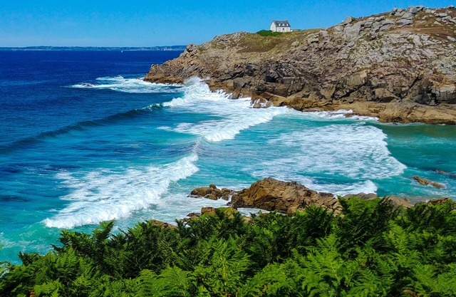 Ty Palmier - close to beaches, Quimper and amenities