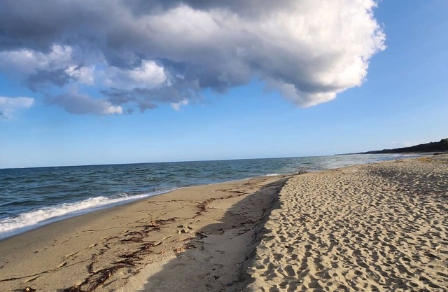 Une Expérience de mer en Tout Compris