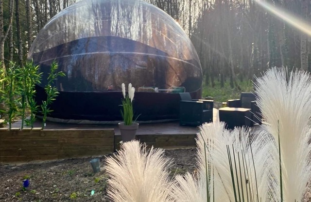 Unusual accommodation, spend a night in the Bubble Jungle under the stars