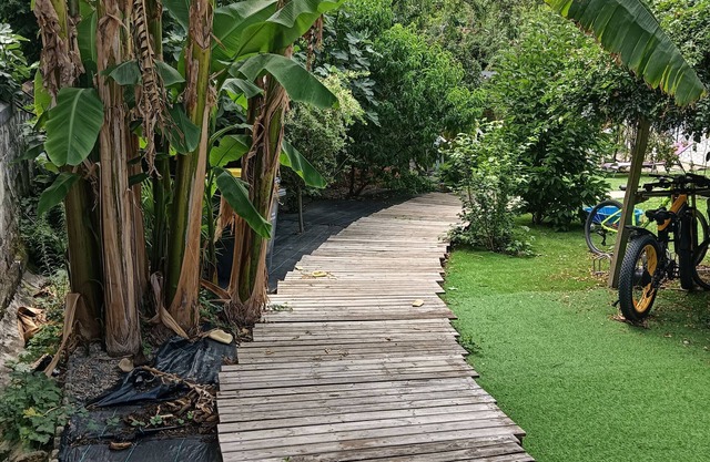 Urban Holiday Home with Tree-Filled Garden