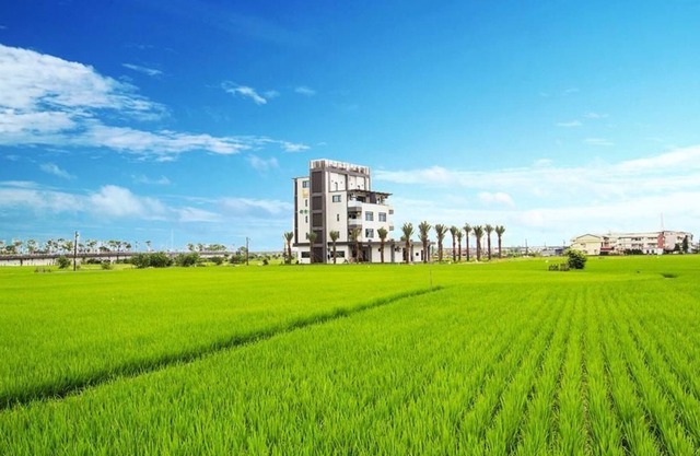 Urban Oasis Inn