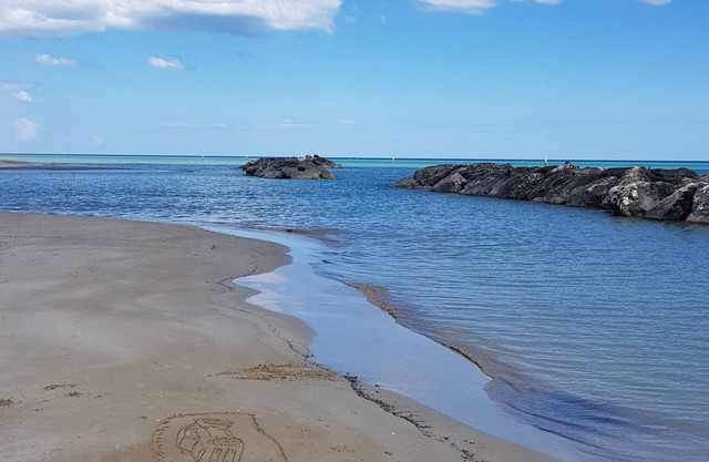 Vacation apartment/apartment for 4 guests with 46m² in Trecastelli /Castel Colonna (265454)