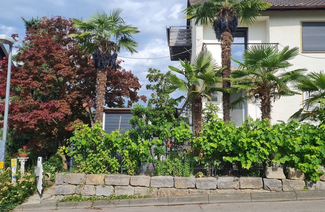 Vacation apartment Am Berg
