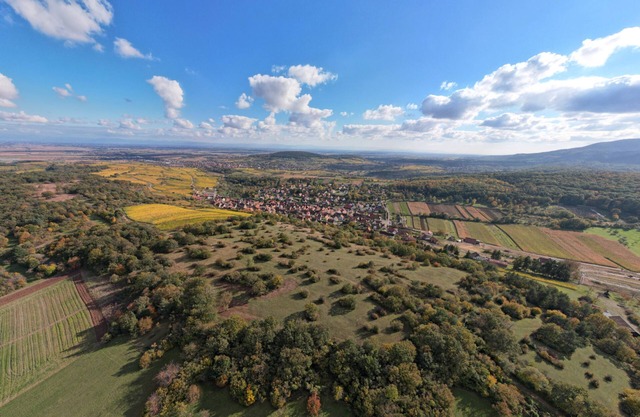 Very charming half-timbered Alsatian house on the Alsace Wine Route