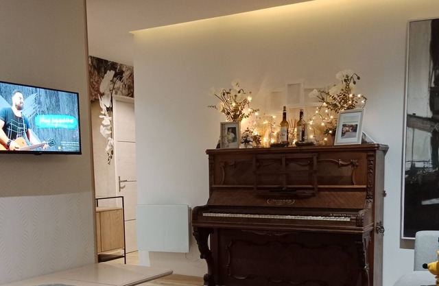 Very nice apartment of 53 m2 in Mulhouse