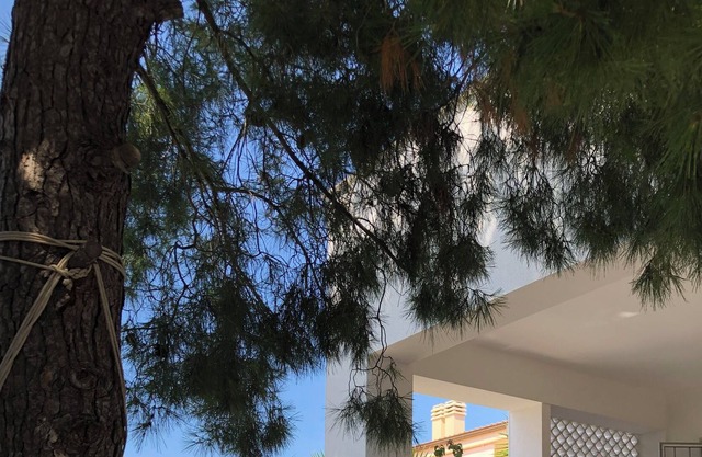 Villa Enza - 150 steps from the sea