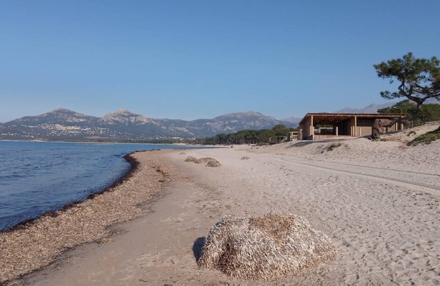 Villa 100 m2 garden Calvi beach 6 min by car