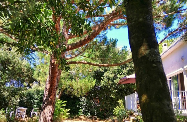 Villa 8 pers. with 2 self-contained units 150 m from the beach & 300m from the center🐶🌳