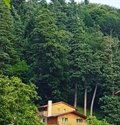 Villa B Barleon-Bakuriani