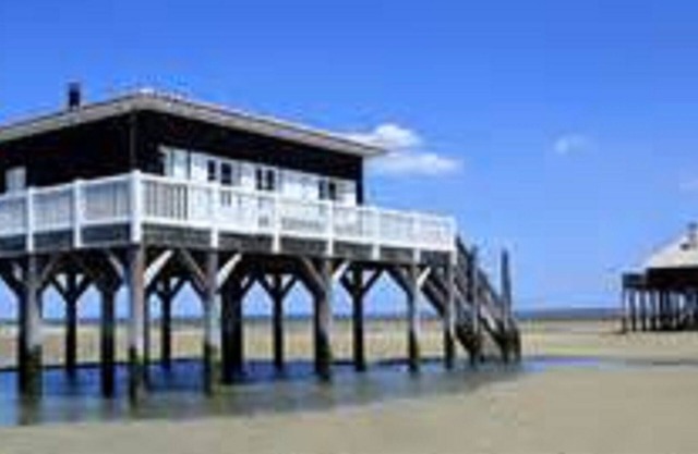 Villa between Bordeaux and St Emilion, 60 minutes from the Dune du Pyla and Arcachon