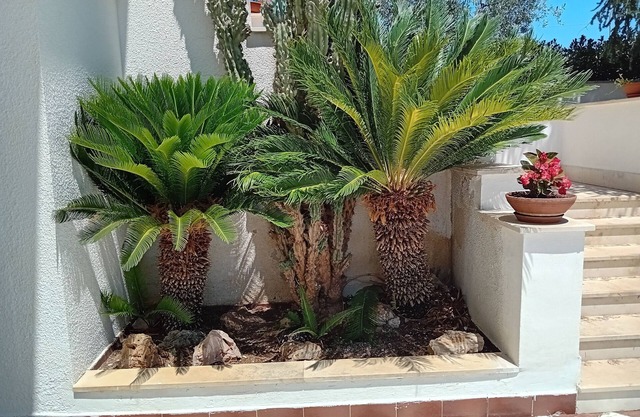 Villa con due appartamenti indipendenti