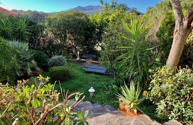 Villa Flamingo close to the beach