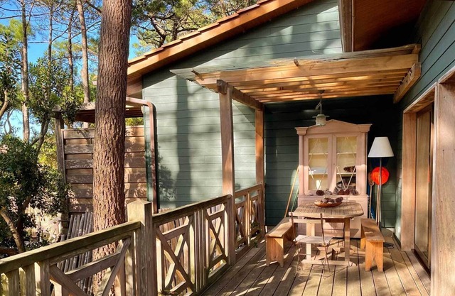Villa in the pine forest in the dune belt