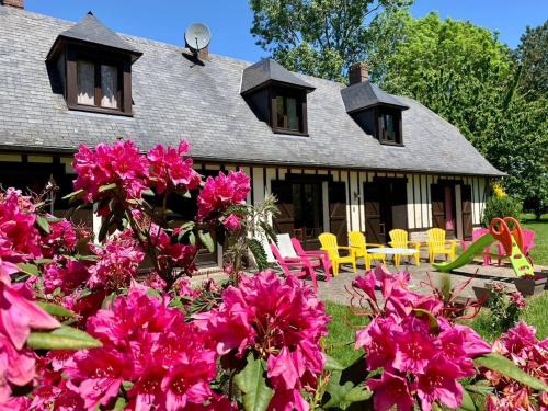 Villa Les Hortensias 14 à 20 pers 10min d'Etretat