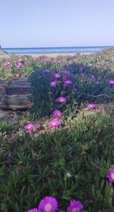 Villa les pieds dans l'eau