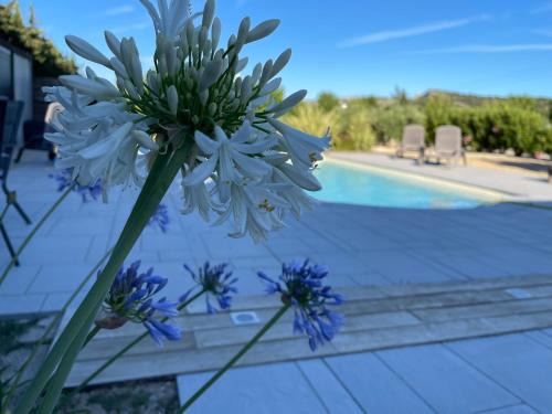 Villa luxe Chato9 piscine chauffee