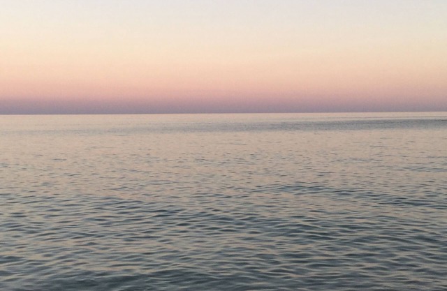 villa near nature reserve