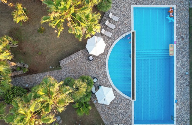 VILLA OF THE DRAGONFLIES 3