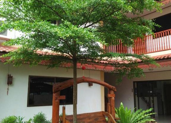 Villa Oranje Chiang Mai