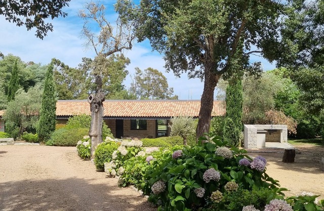 Villa Pieds Dans L'eau Porto Vecchio