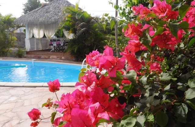 Villa Prune Kafé: charming 3-room apartment with fully enclosed private pool