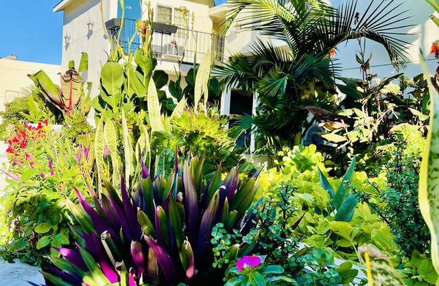 Villa Serena